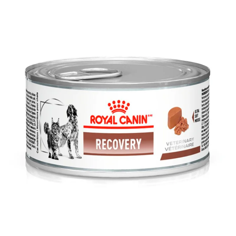 Ração Úmida Royal Canin Veterinary Recovery para Cães e Gatos em Recuperação 195 g