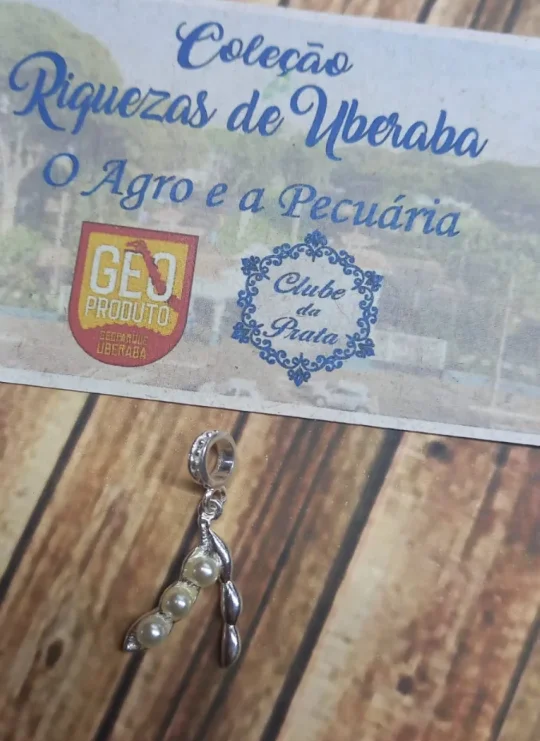 Berloque Soja