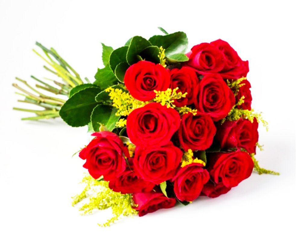 Buque Com 19 Rosas Vermelhas